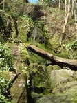 FZ004161 Small waterfall covered in moss.jpg